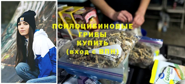 сатива Магадан