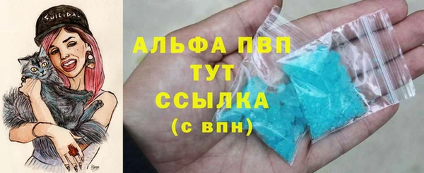сатива Магадан