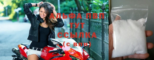 сатива Магадан