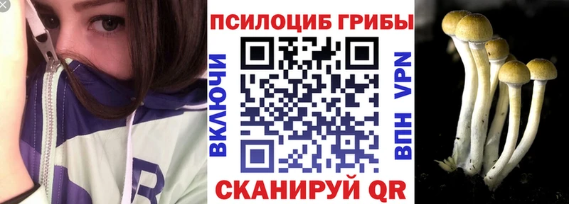 Псилоцибиновые грибы мухоморы  где продают   Шимановск 